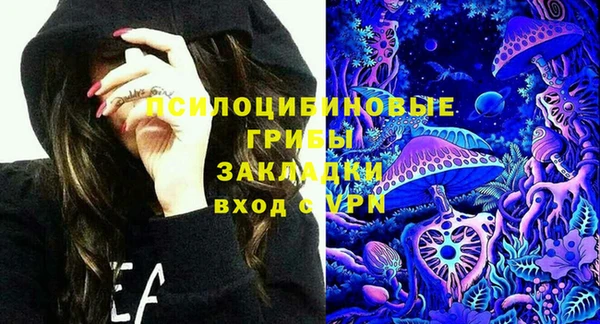 гидра Вязьма